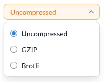 Dropdown menu offering Uncompressed, GZIP, and Brotli options